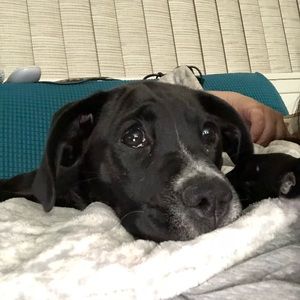 Meet your Posher, Kristin